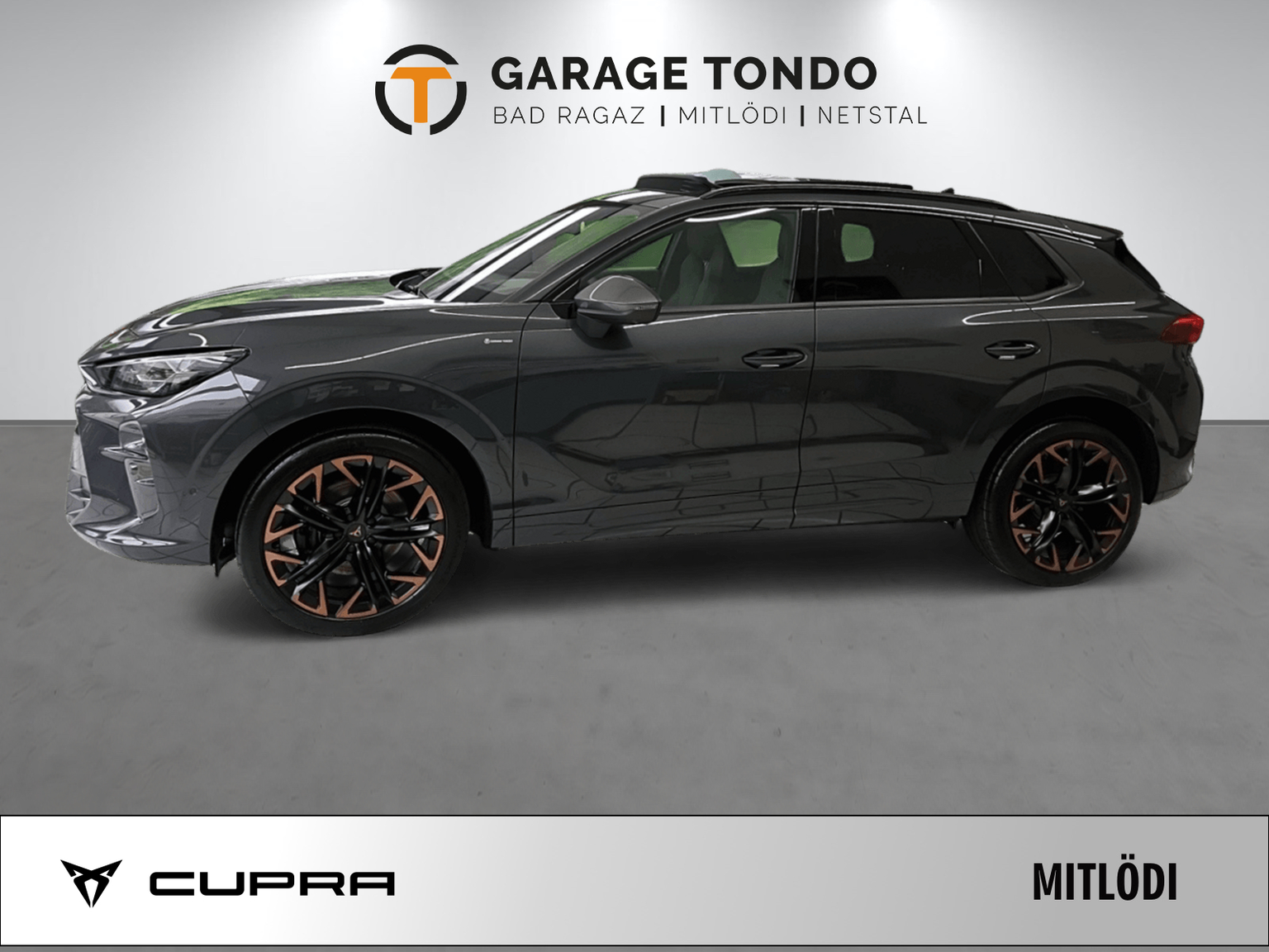 CUPRA CUPRA Terramar PE2.0TSI 265PS 2000ccm 265PS/195kW 4 Zylinder TSI Benzin