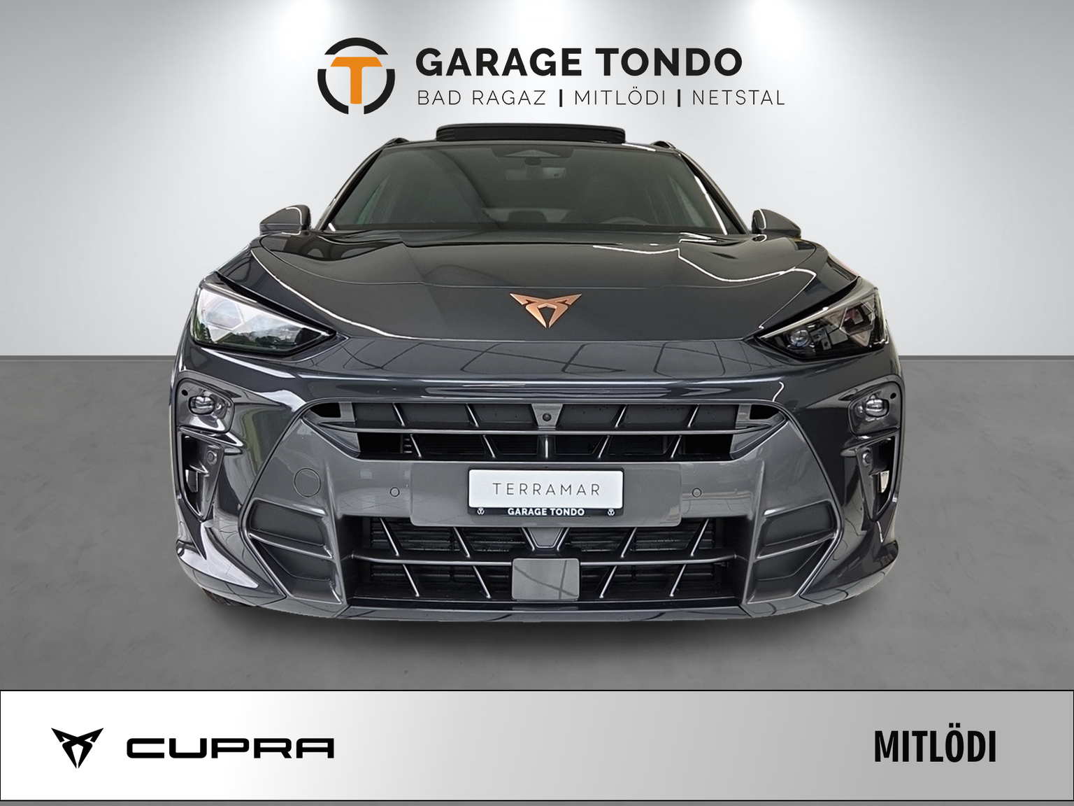 CUPRA CUPRA Terramar PE2.0TSI 265PS 2000ccm 265PS/195kW 4 Zylinder TSI Benzin