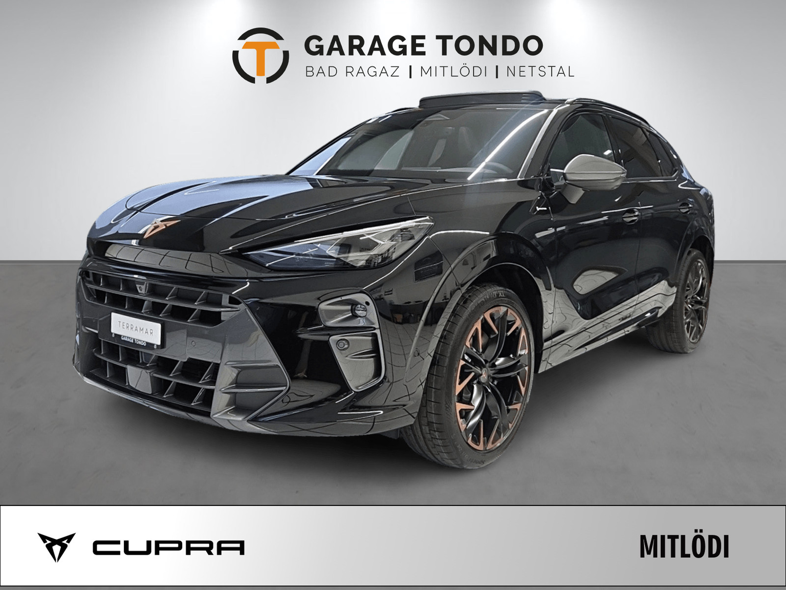 CUPRA CUPRA Terramar PE2.0TSI 265PS 2000ccm 265PS/195kW 4 Zylinder TSI Benzin