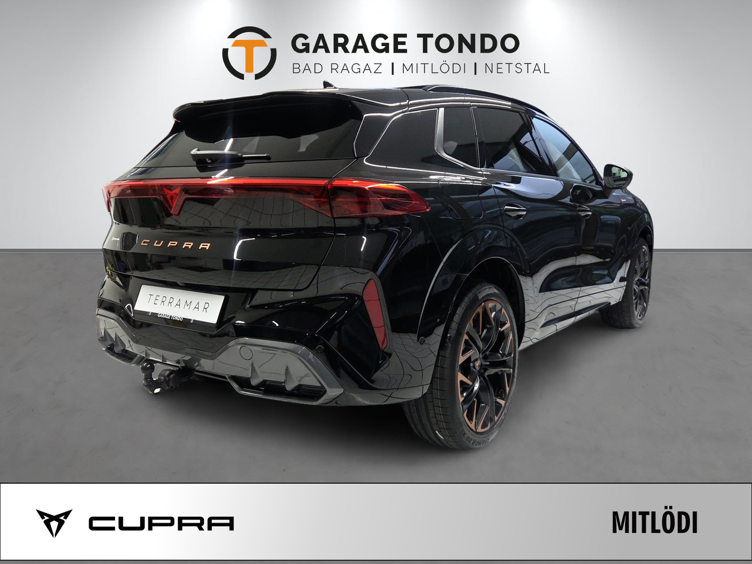 CUPRA CUPRA Terramar PE2.0TSI 265PS 2000ccm 265PS/195kW 4 Zylinder TSI Benzin