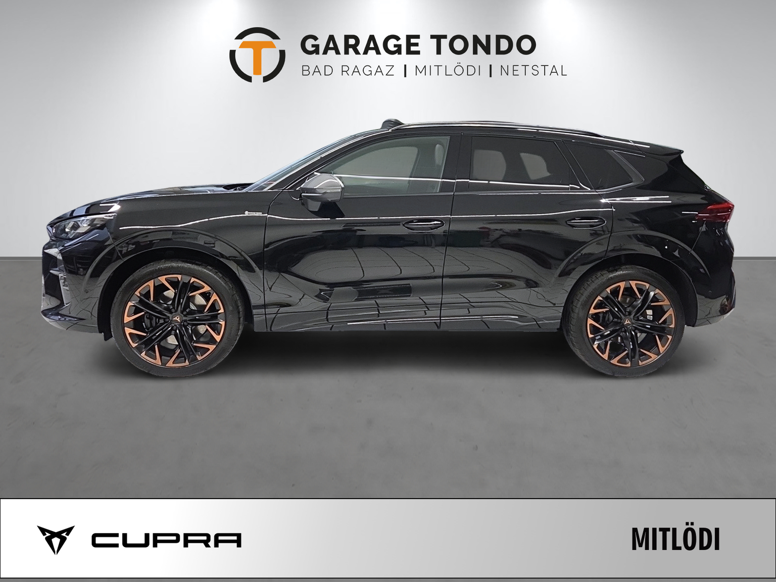 CUPRA CUPRA Terramar PE2.0TSI 265PS 2000ccm 265PS/195kW 4 Zylinder TSI Benzin