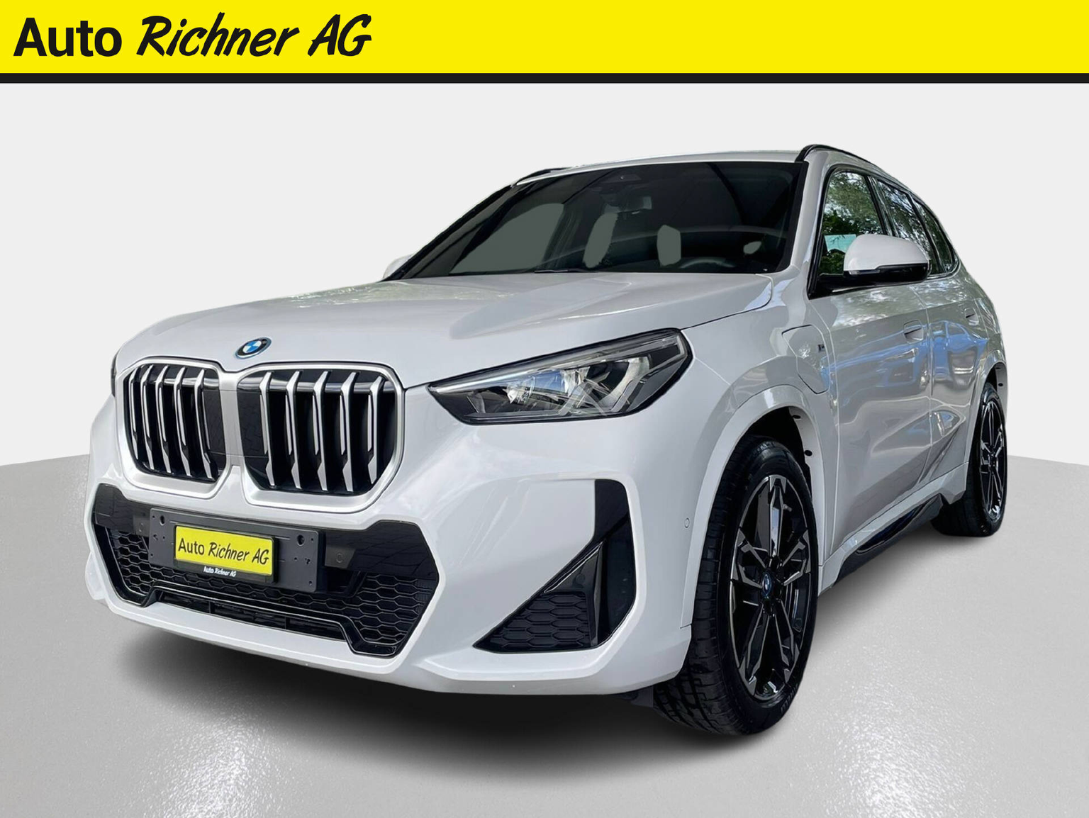 BMW X1 25e xDrive paddles