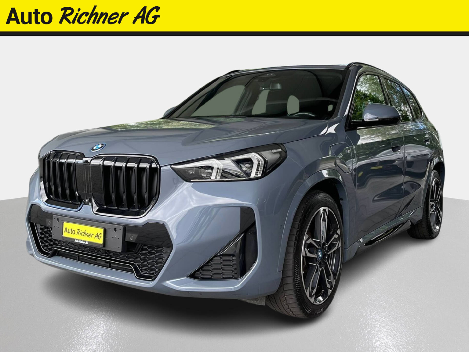 BMW X1 25e xDrive paddles