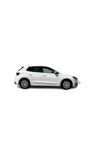 SKODA Fabia 1.0 TSI Ambition DSG