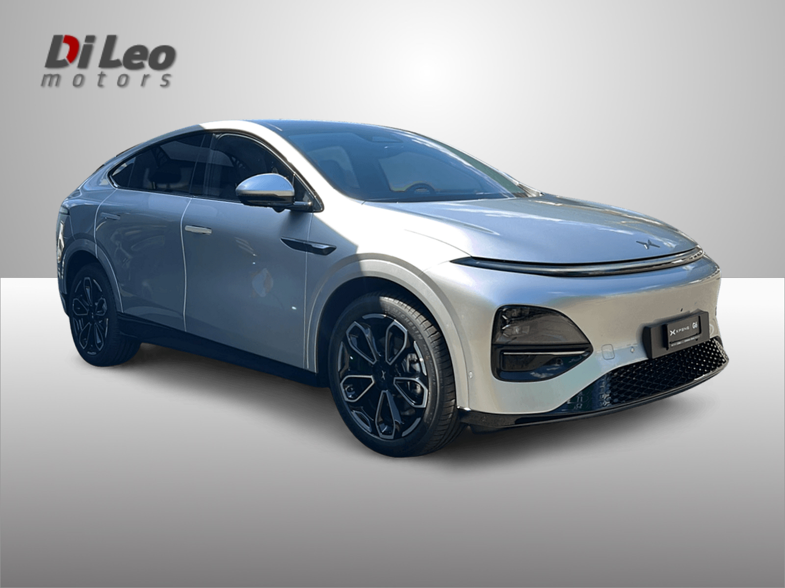 XPENG G6 80kWh Performance AWD