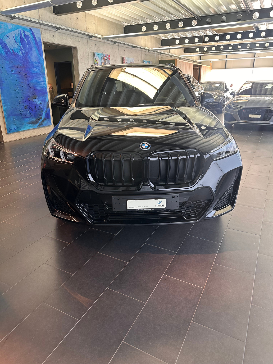 BMW X1 30e xDrive paddles