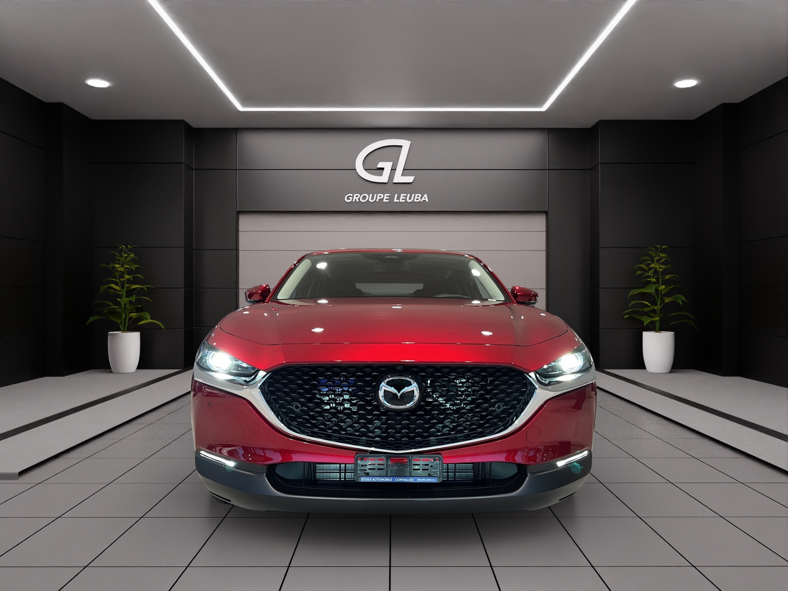 Vehicle Image