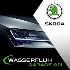 Wasserfluhgarage AG