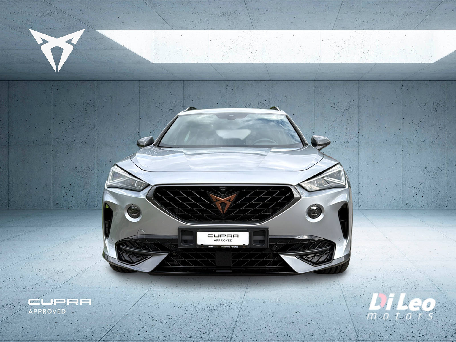 Cupra FORMENTOR Leasing & Auto-Abo Angebot